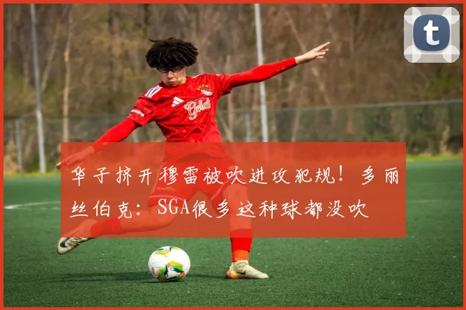 华子挤开穆雷被吹进攻犯规！多丽丝伯克：SGA很多这种球都没吹
